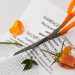 The Importance of Revising an Estate Plan After Divorce, by GDP Attorney in Phoenix, AZ