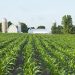Three Estate Planning Mistakes Farmers and Ranchers Make
